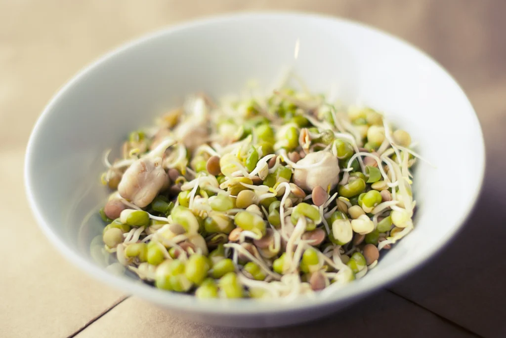 Foods that must be avoid during pregnancy 13 raw sprouts avoid foods during pregnancy