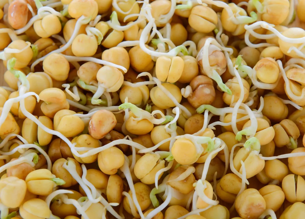 What are the best home remedies for treating thyroid disease? 15 channa sprouts thyroid disease
