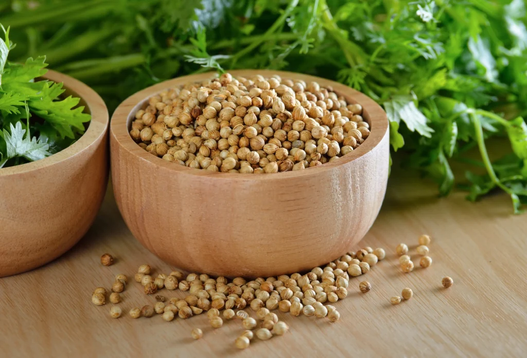 What are the best home remedies for treating thyroid disease? 14 coriander seeds