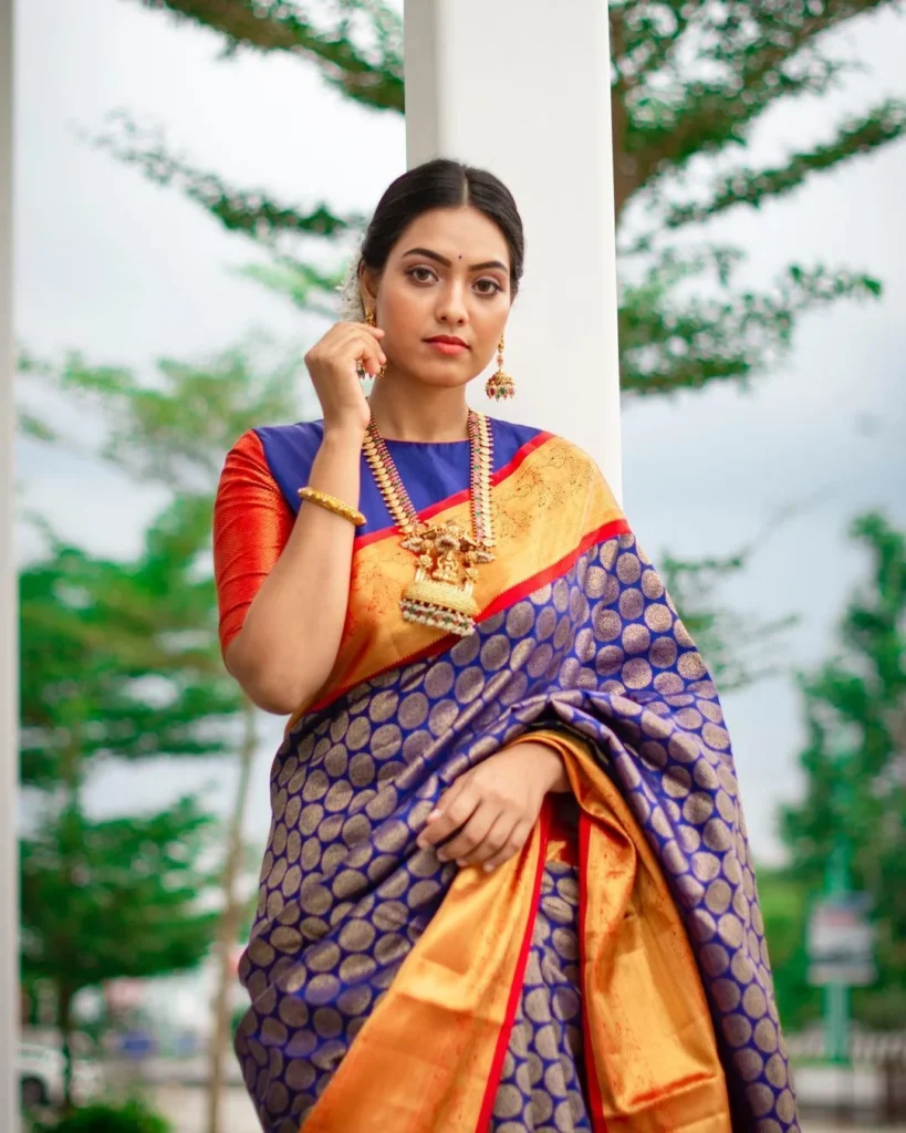 Pavithra actress saree photos payanali