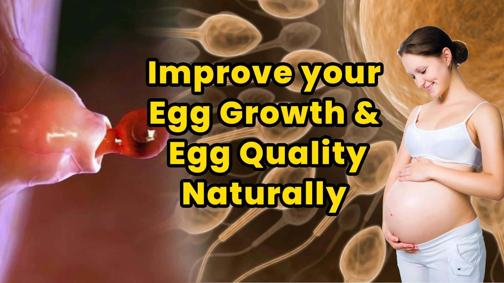 Improve your egg growth and egg quality naturally